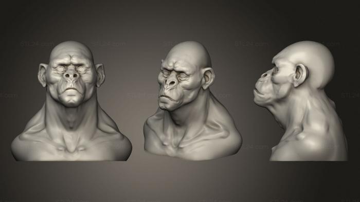 Busts of heroes and monsters (Gorilla, BUSTH_1317) 3D models for cnc